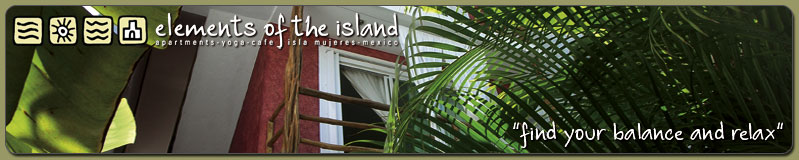 Elements Of The Island gallery 11