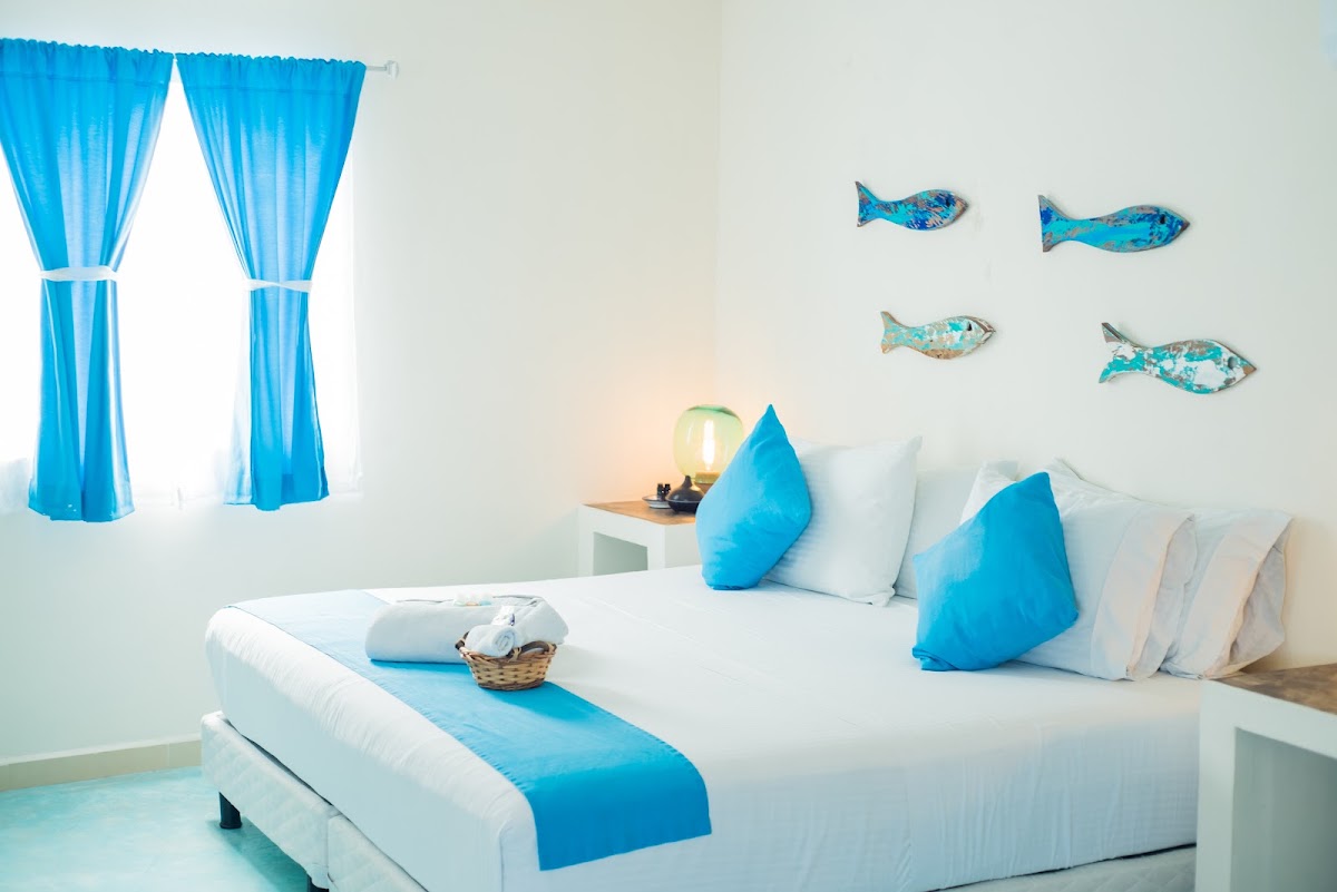 Hidalgo Boutique Rooms gallery 4