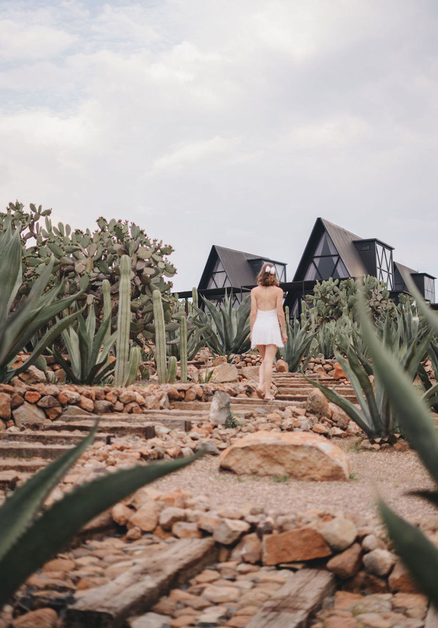 Coyote Hotel gallery 11