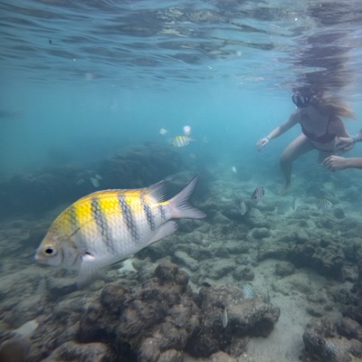 Akumal Bay Beach & Spa Resort gallery 14
