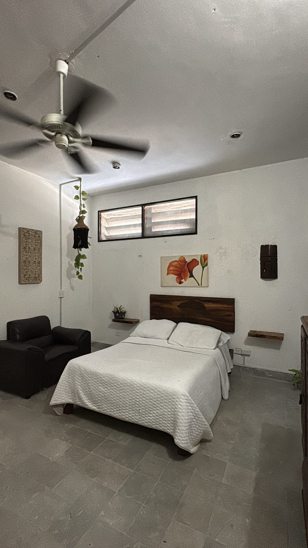 Hostal Merida hostel y tours gallery 4