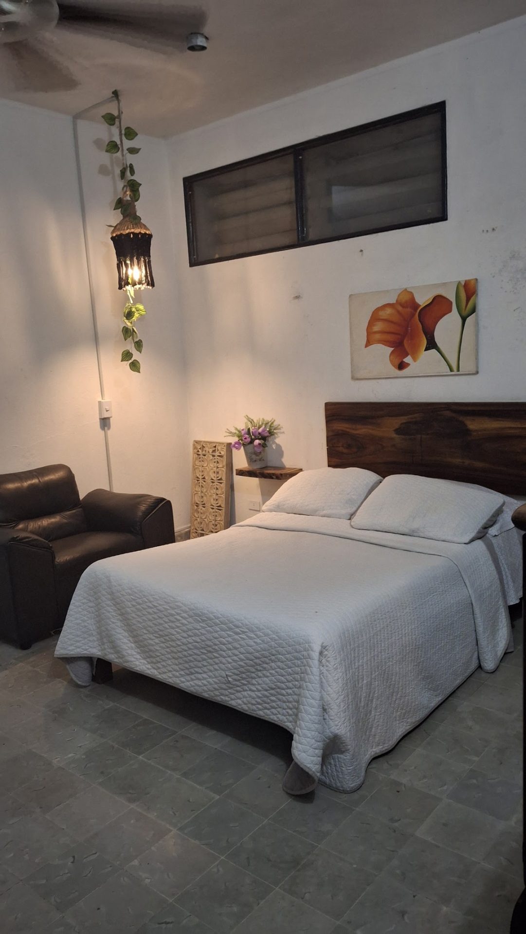 Hostal Merida hostel y tours gallery 7