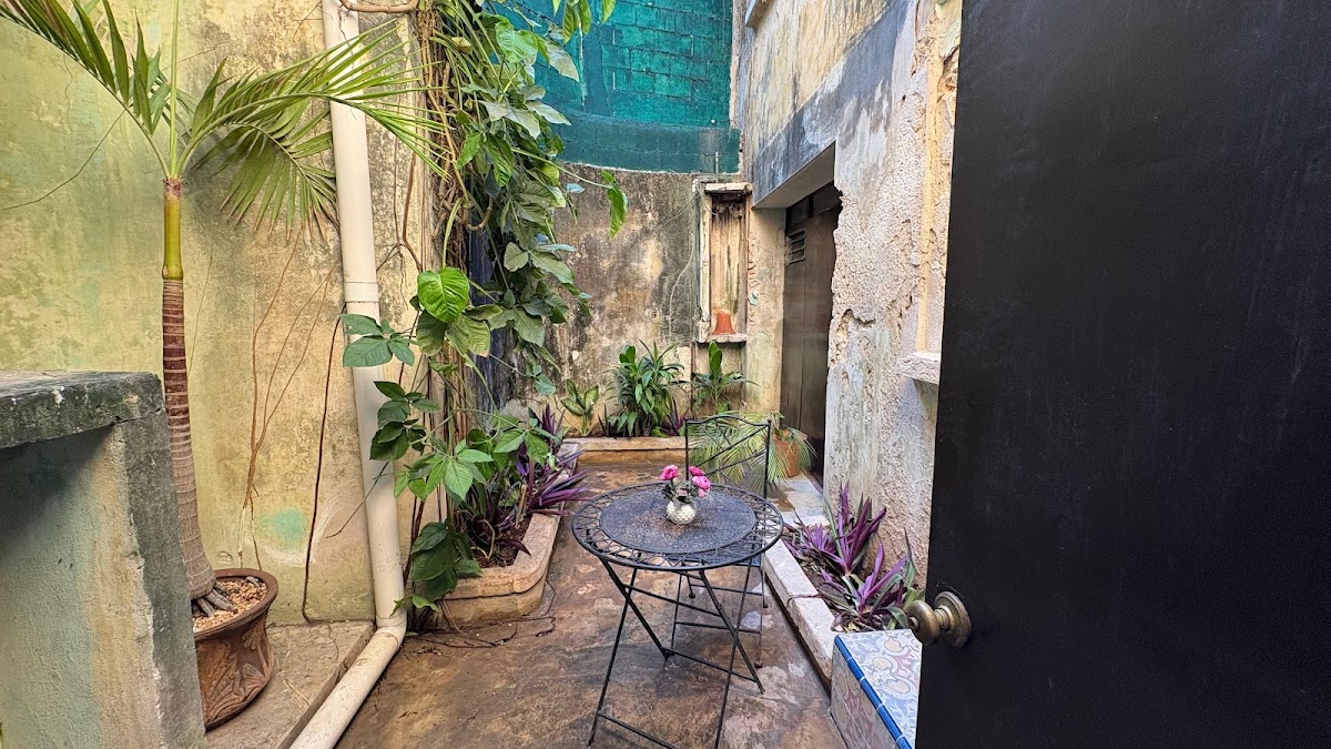 Hostal Merida hostel y tours gallery 9