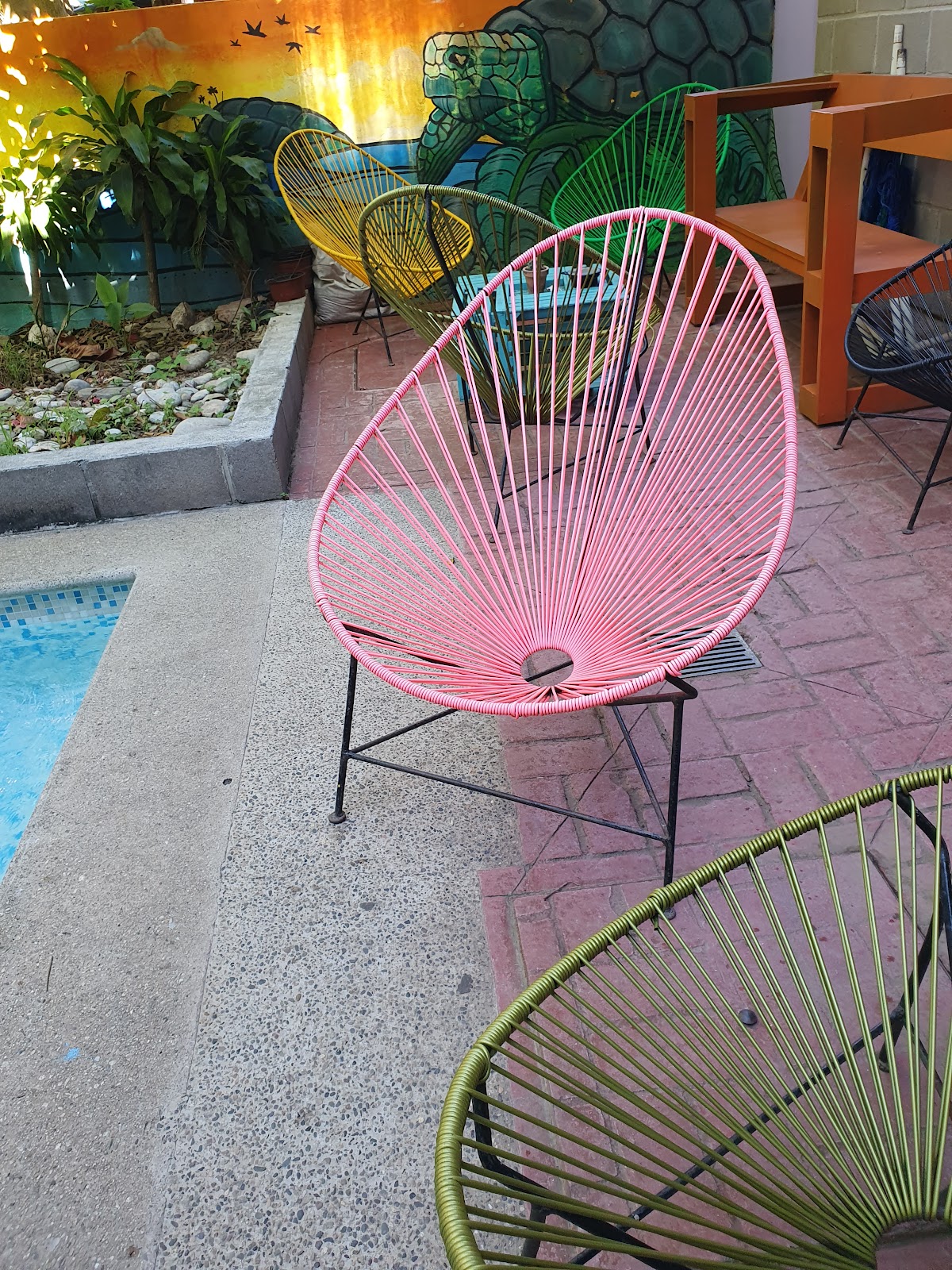 Hostal Tortuga gallery 1