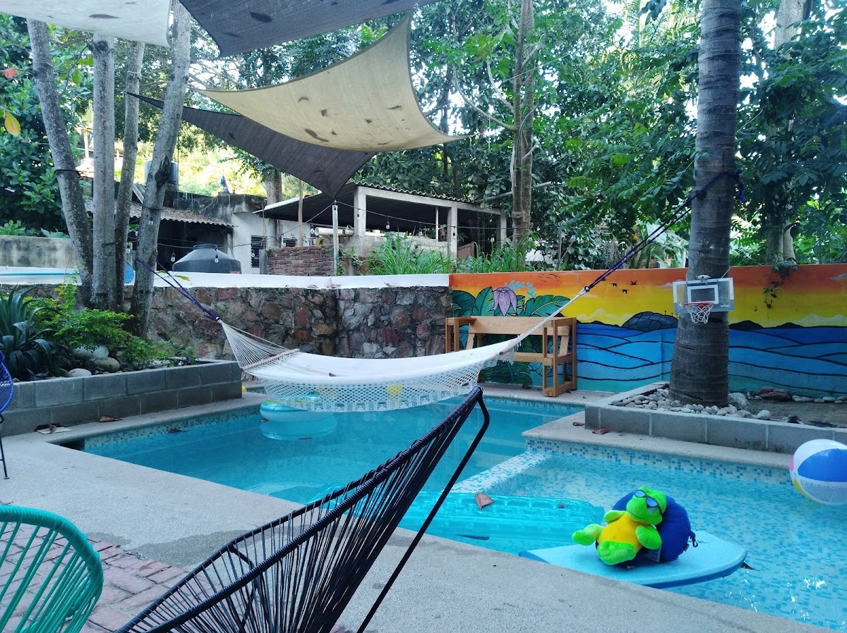 Hostal Tortuga gallery 7
