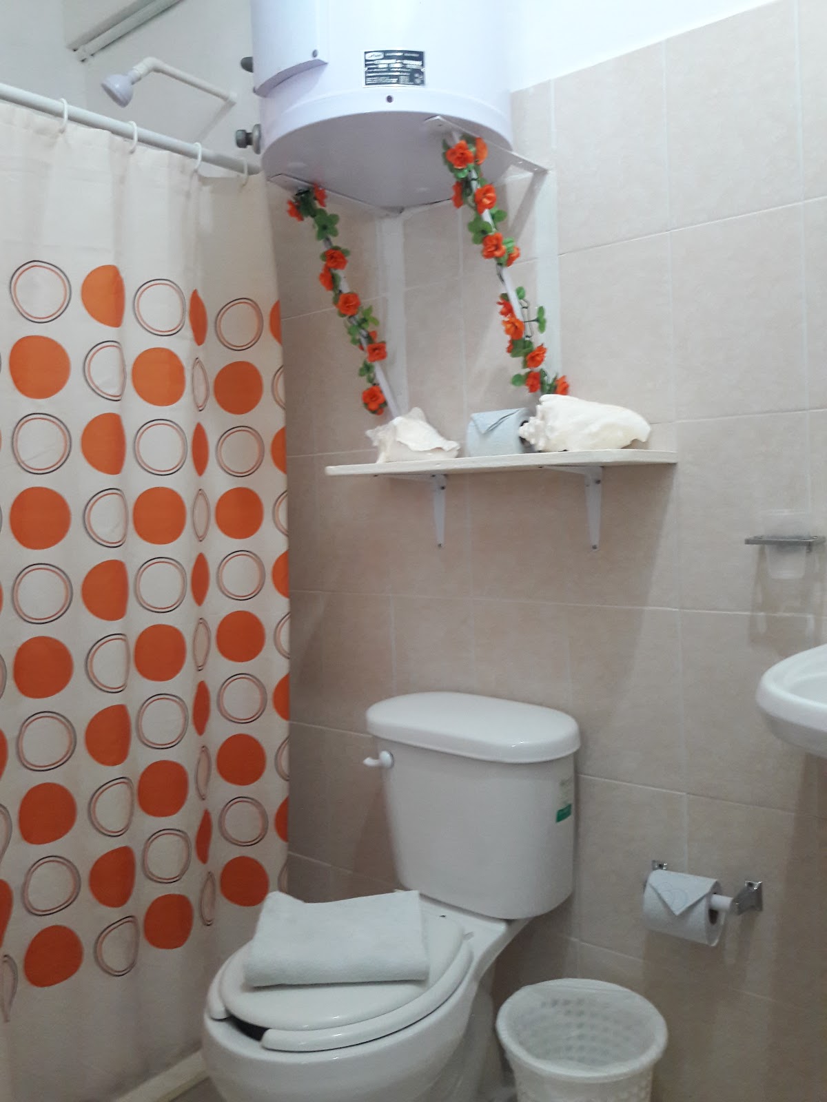 Hostel Alme gallery 3