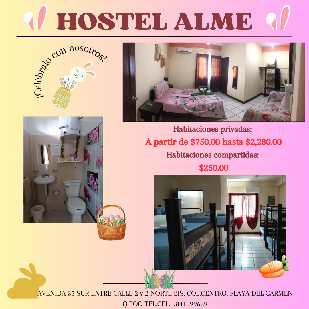 Hostel Alme gallery 4