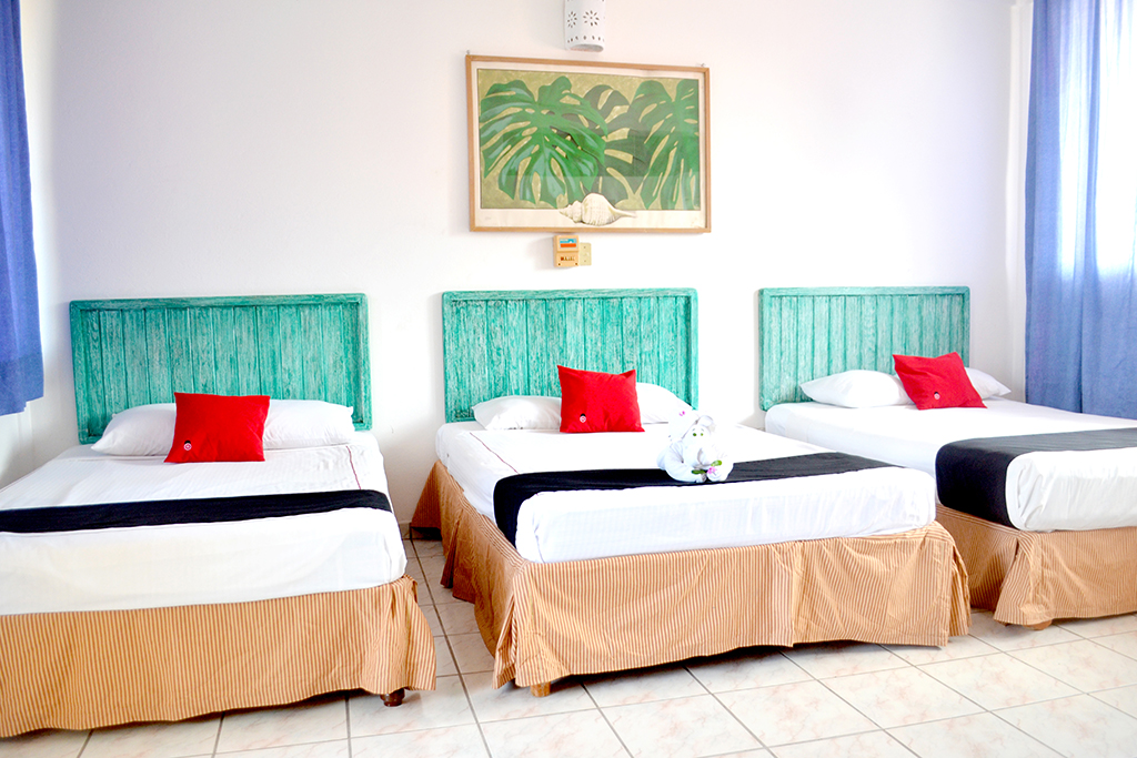 Hotel Adelita gallery 1