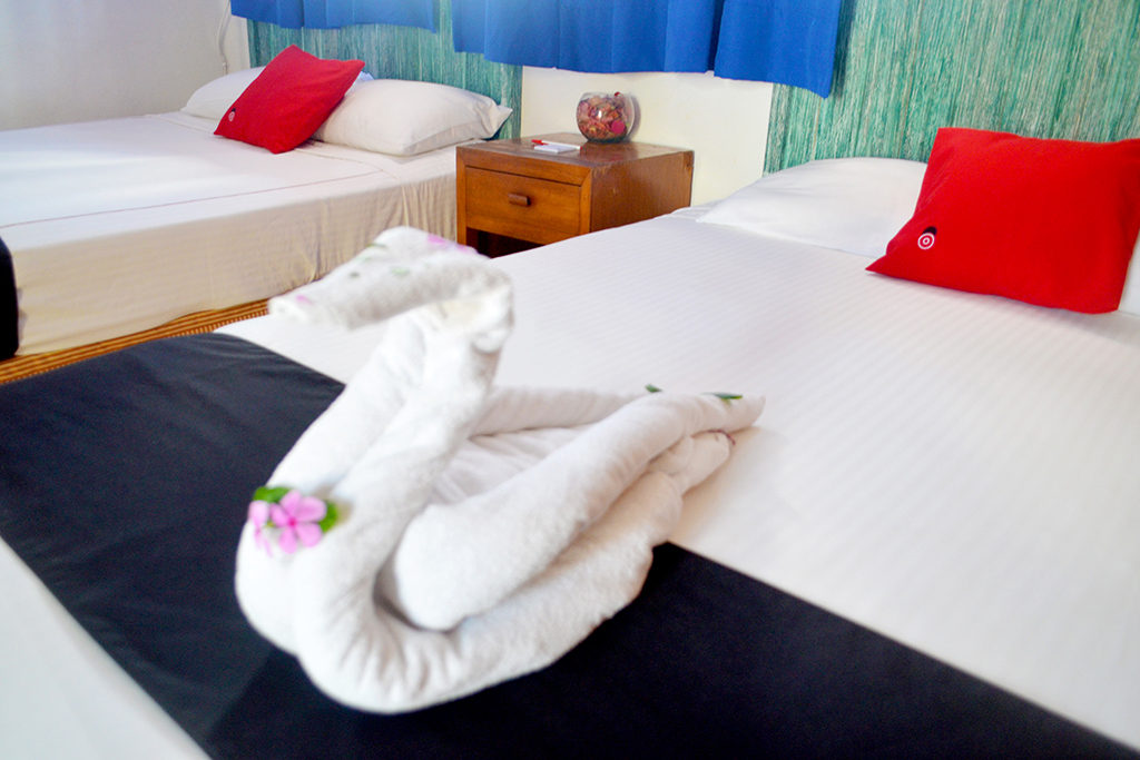 Hotel Adelita gallery 7