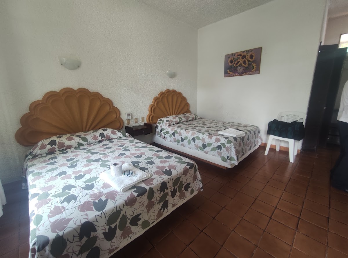 Hotel Albatros gallery 7