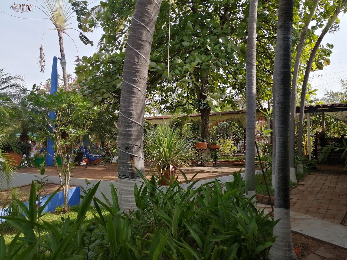 Hotel Albatros gallery 9