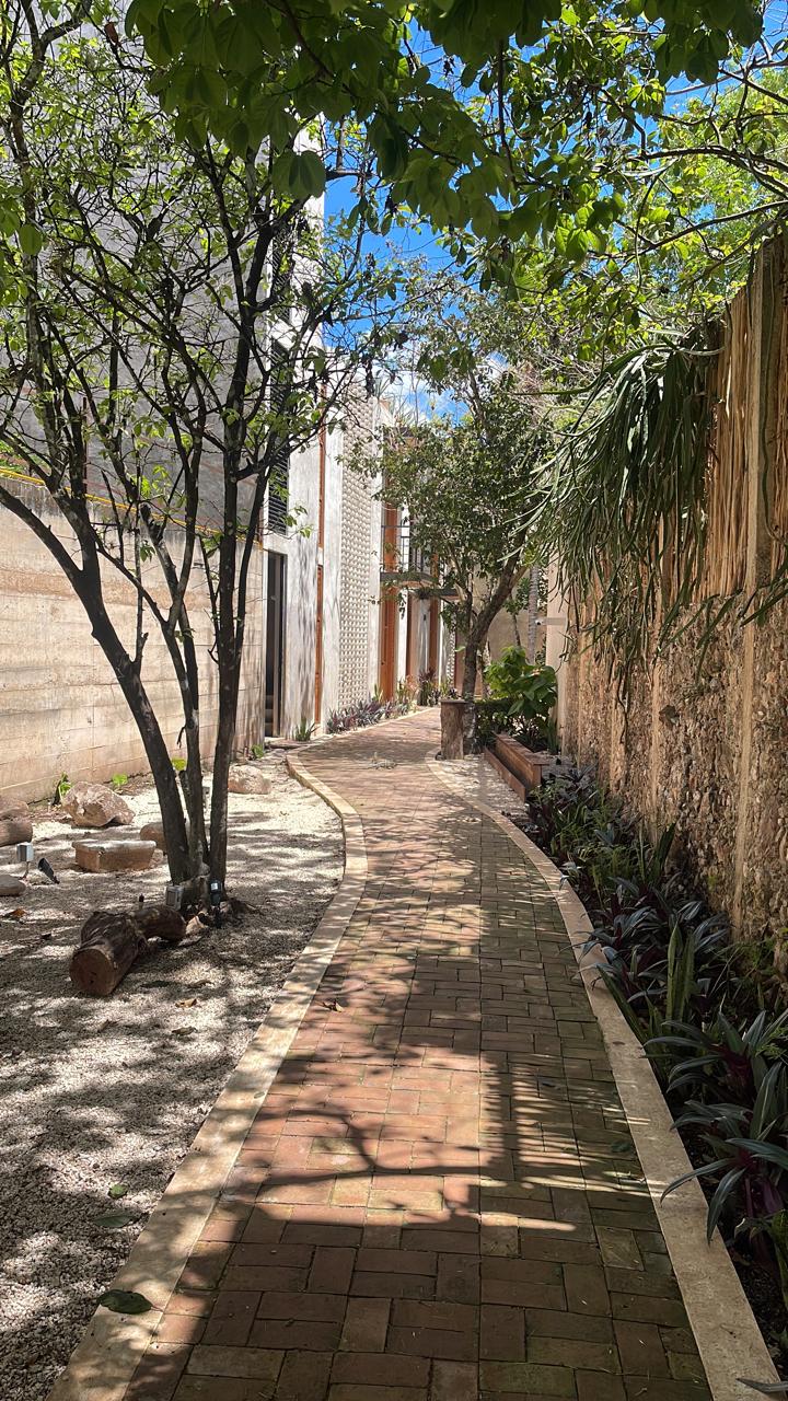 Hotel Alma Peregrina gallery 9