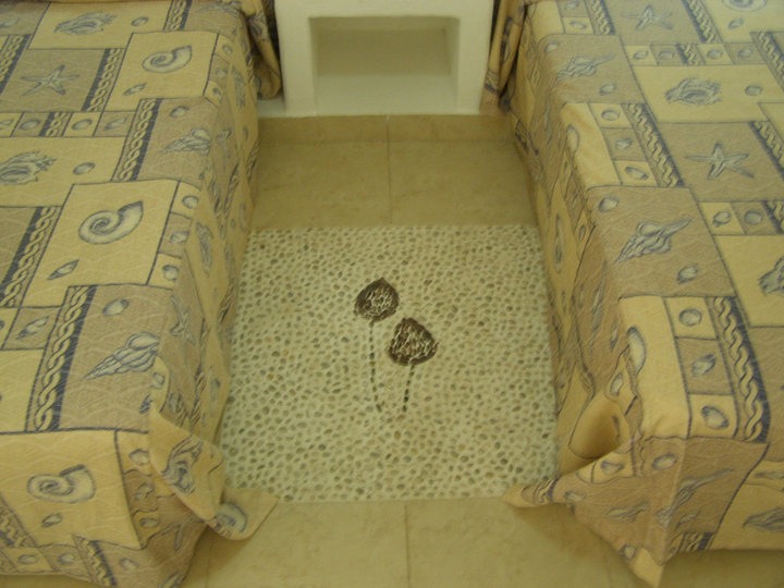 Hotel Anturios gallery 6