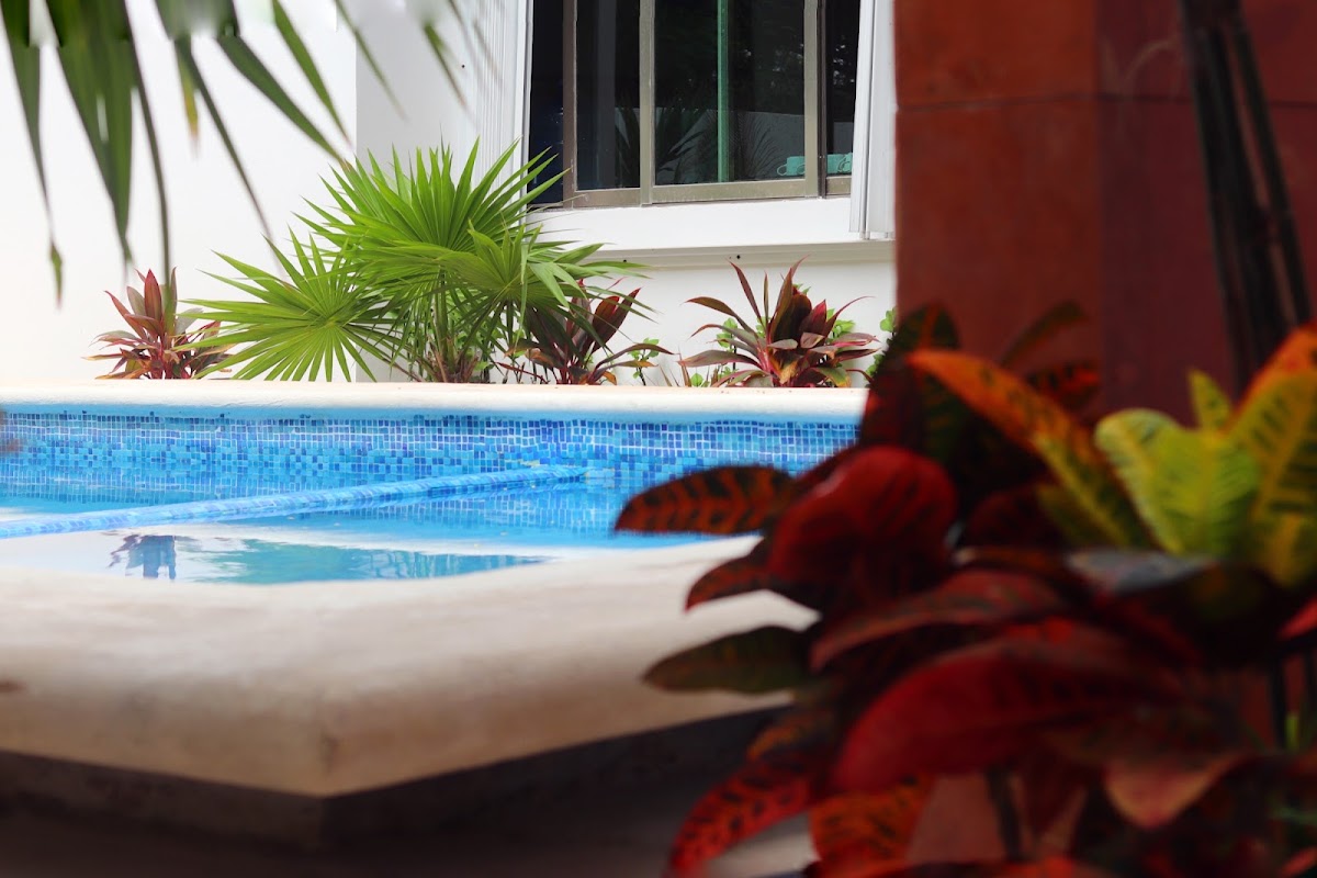 Hotel Arrecifes Costa Maya gallery 3