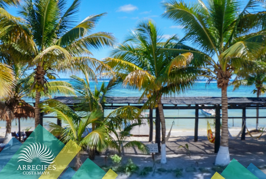 Hotel Arrecifes Costa Maya gallery 6