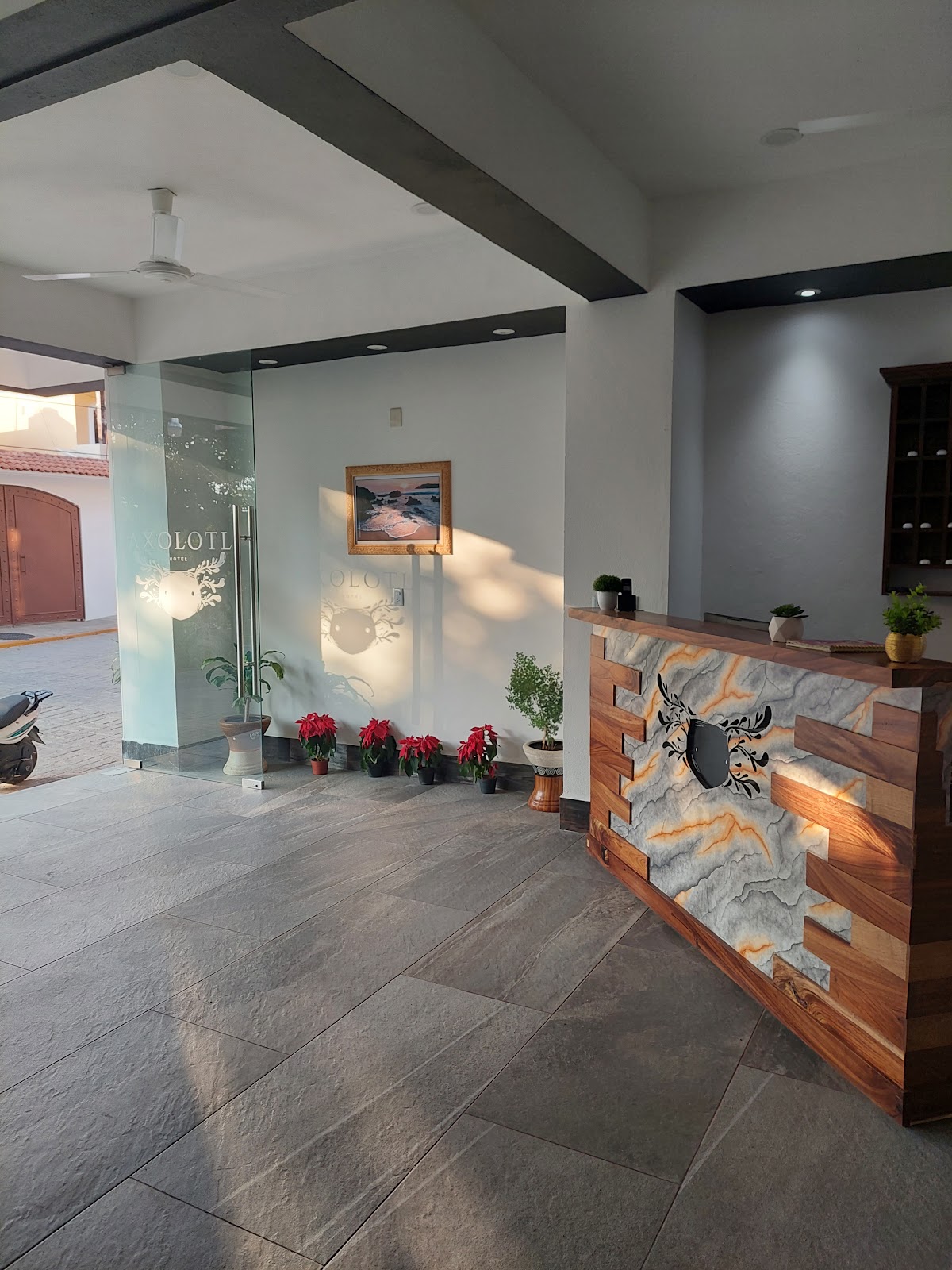 Hotel Axolotl gallery 5
