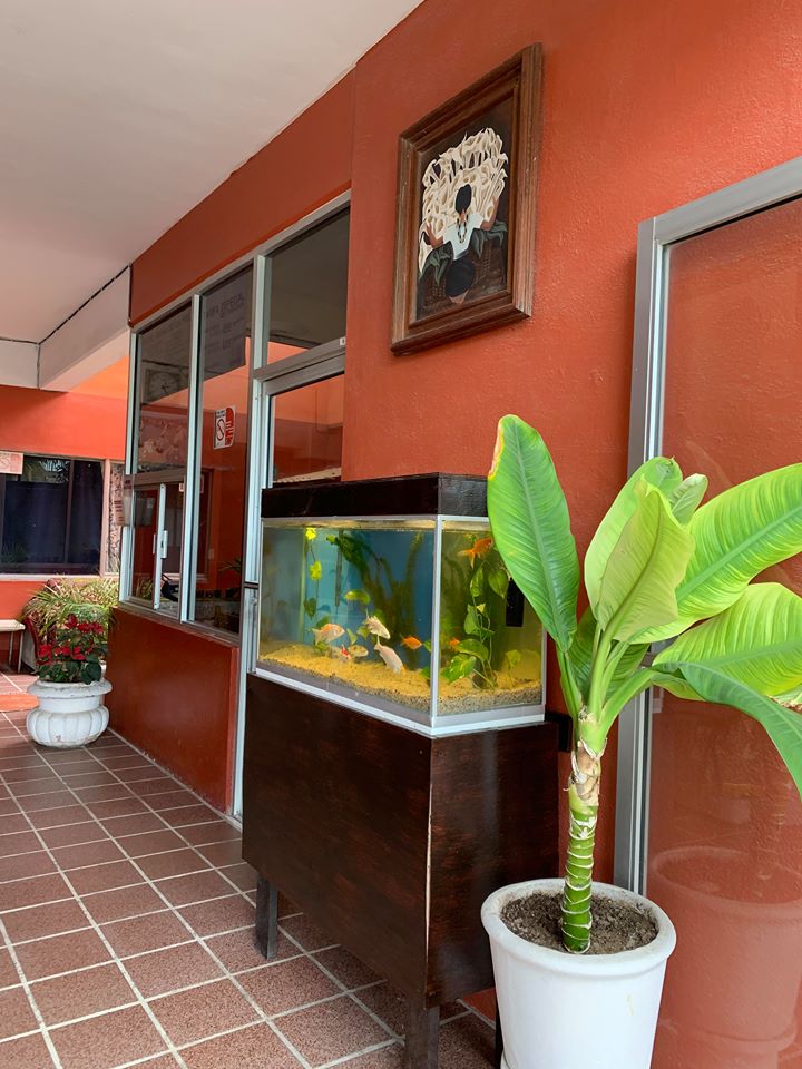Hotel Bahía de La Paz gallery 10