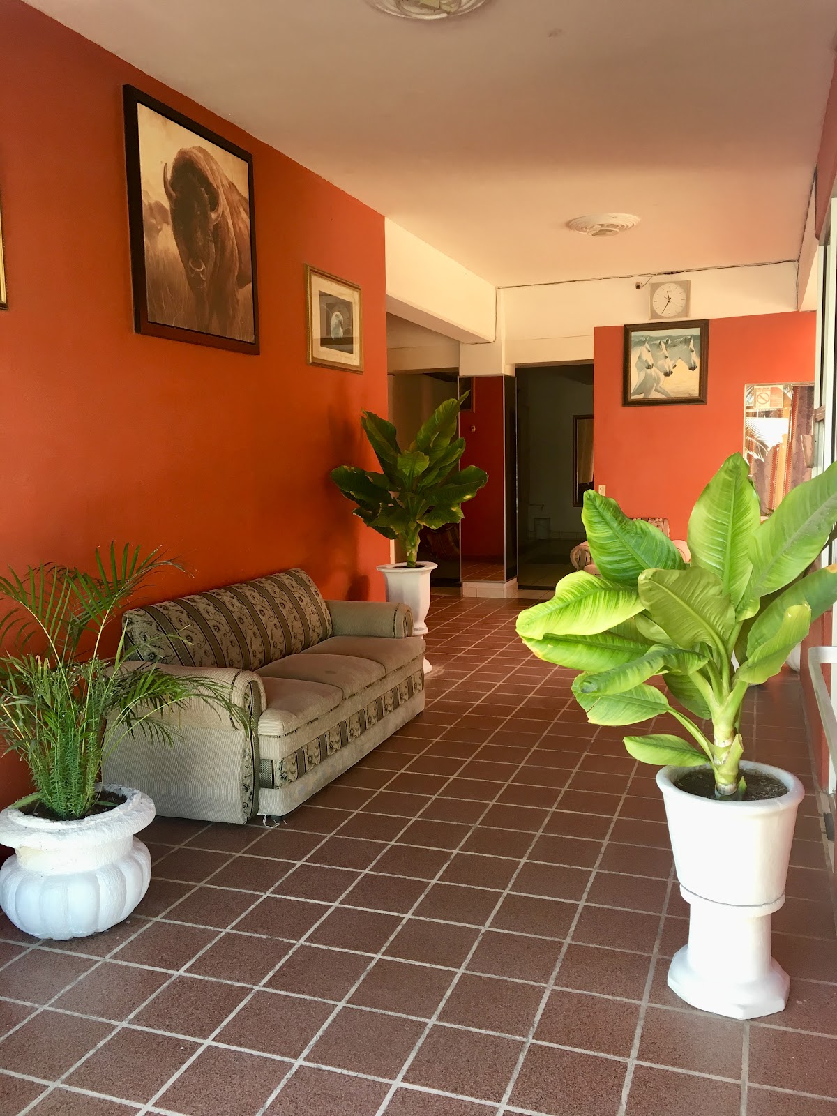Hotel Bahía de La Paz gallery 5