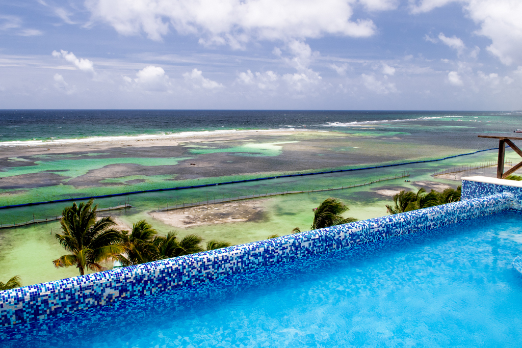 Hotel Blue Reef Mahahual gallery 3