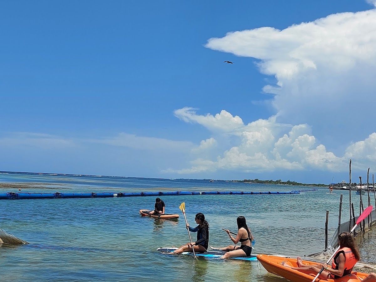 Hotel Blue Reef Mahahual gallery 9