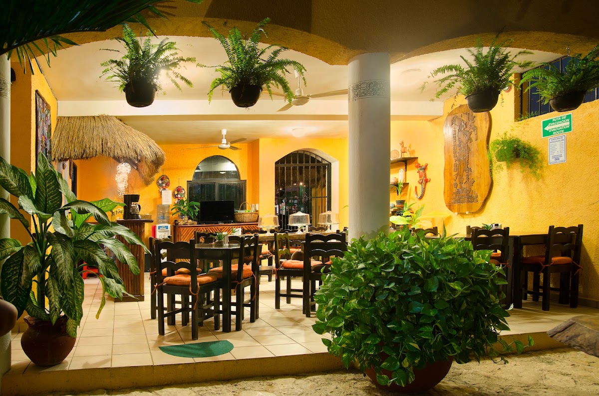 Hotel Bosque Caribe gallery 10