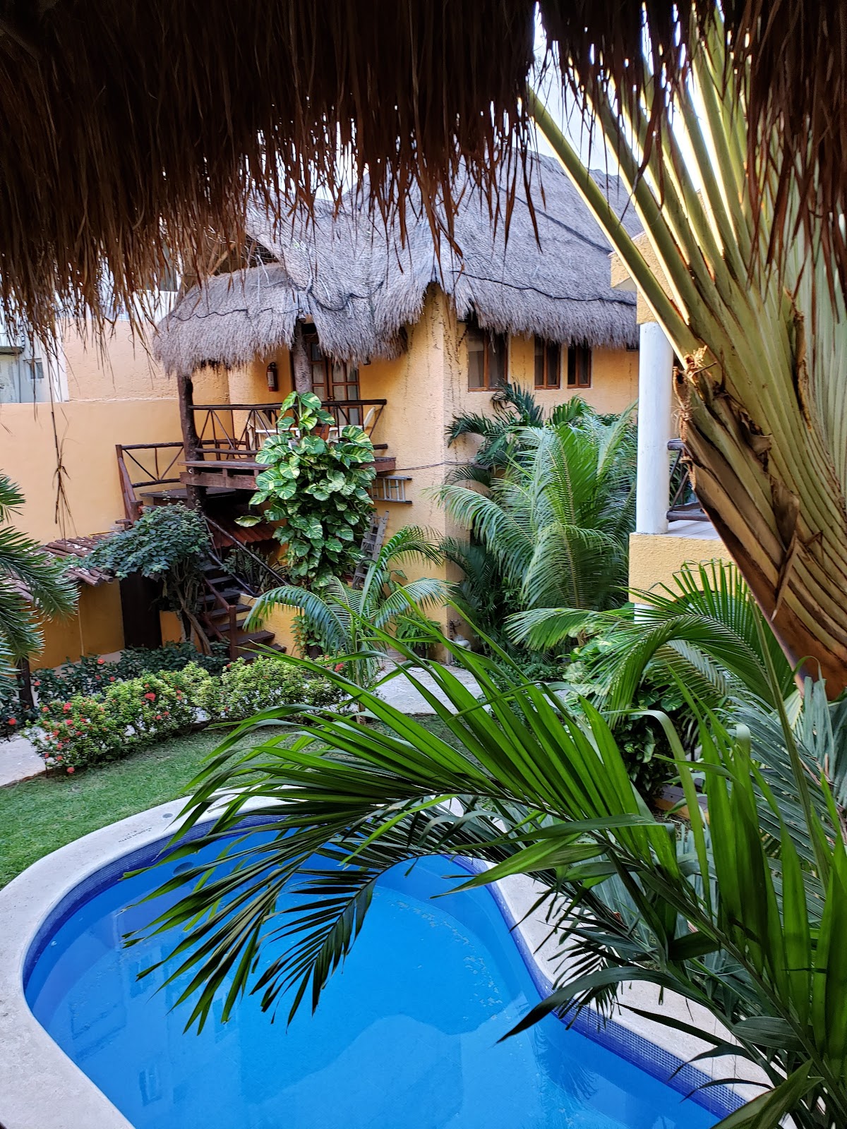 Hotel Bosque Caribe gallery 3