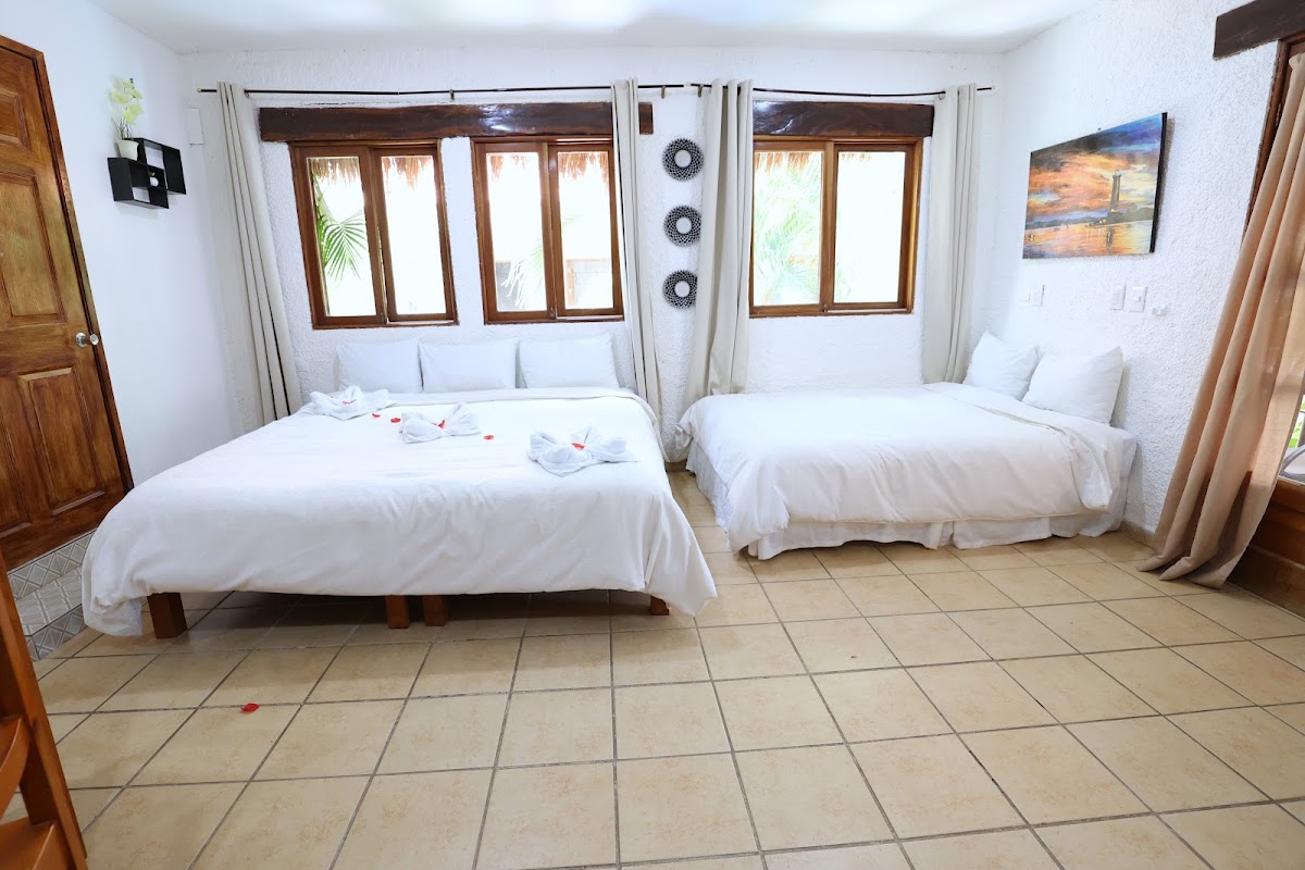 Hotel Bosque Caribe gallery 5