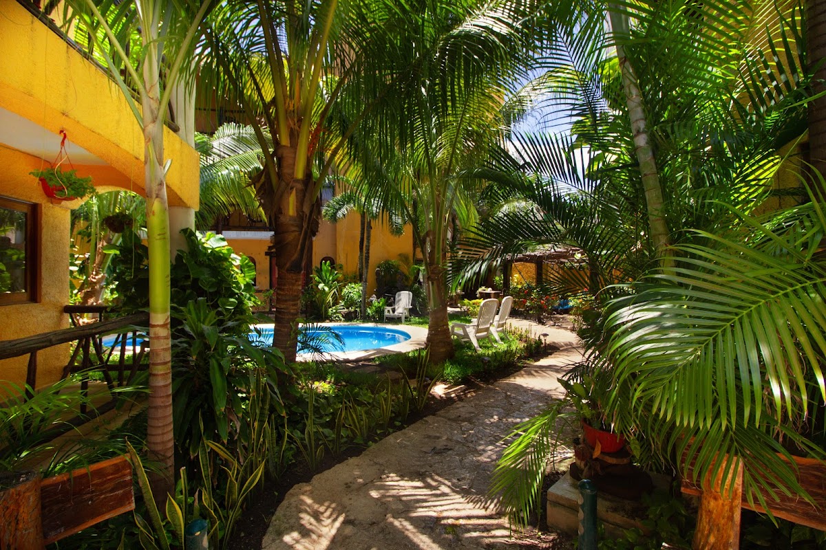 Hotel Bosque Caribe gallery 7