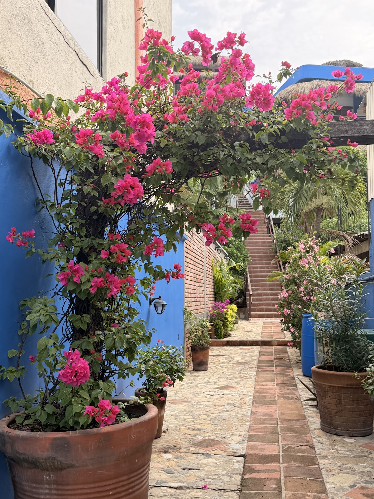 Hotel Buena Vista gallery 8