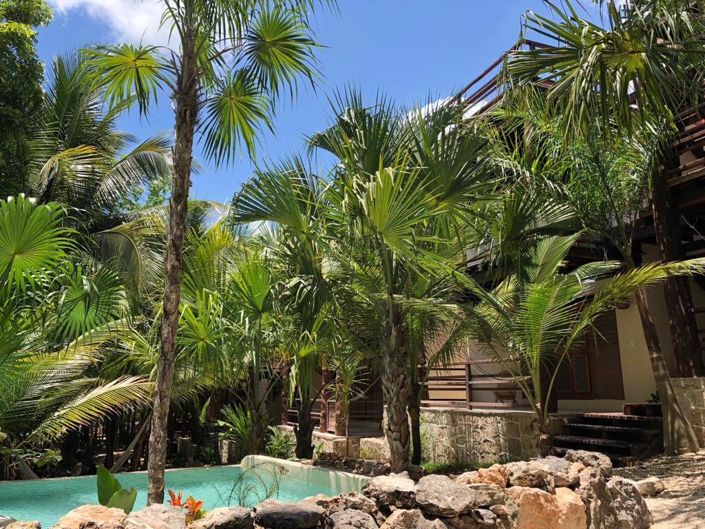 Hotel Buenavista Bacalar Jungle Experience gallery 10