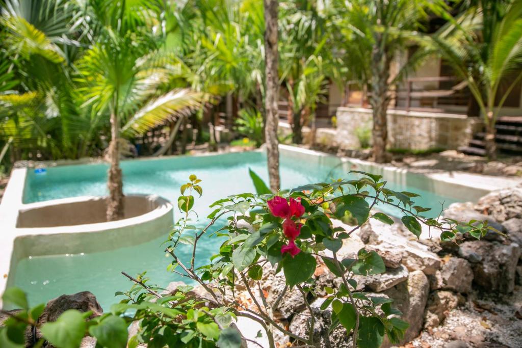 Hotel Buenavista Bacalar Jungle Experience gallery 5