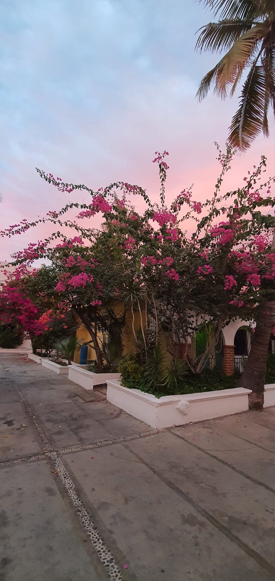 Hotel Calafia gallery 6