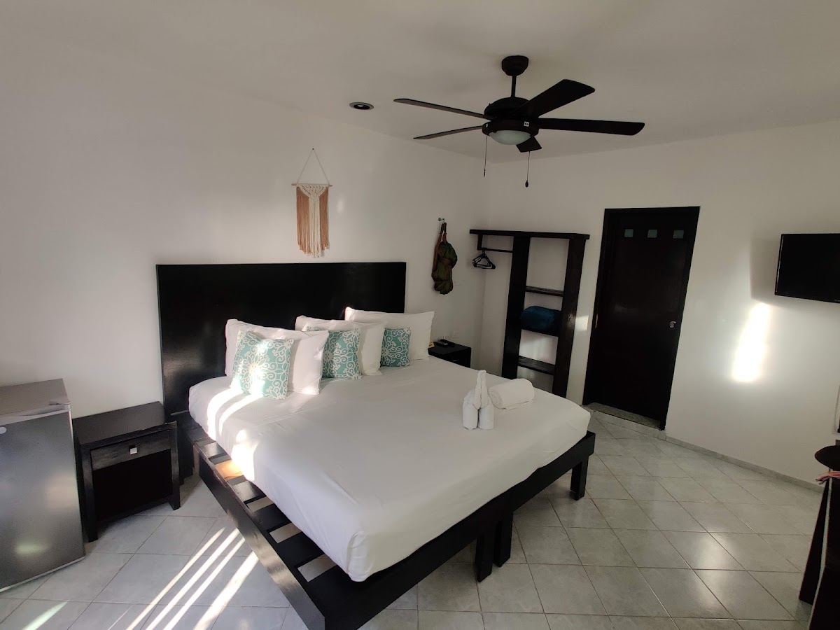 Hotel Caracol Isla Mujeres gallery 5
