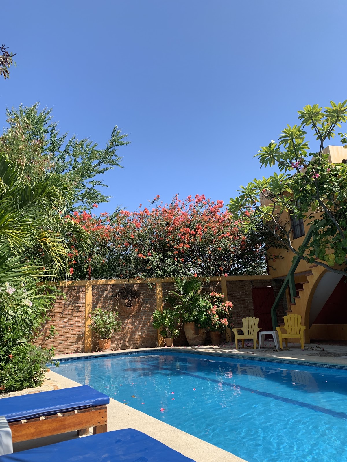 Hotel Casa de Dan gallery 2