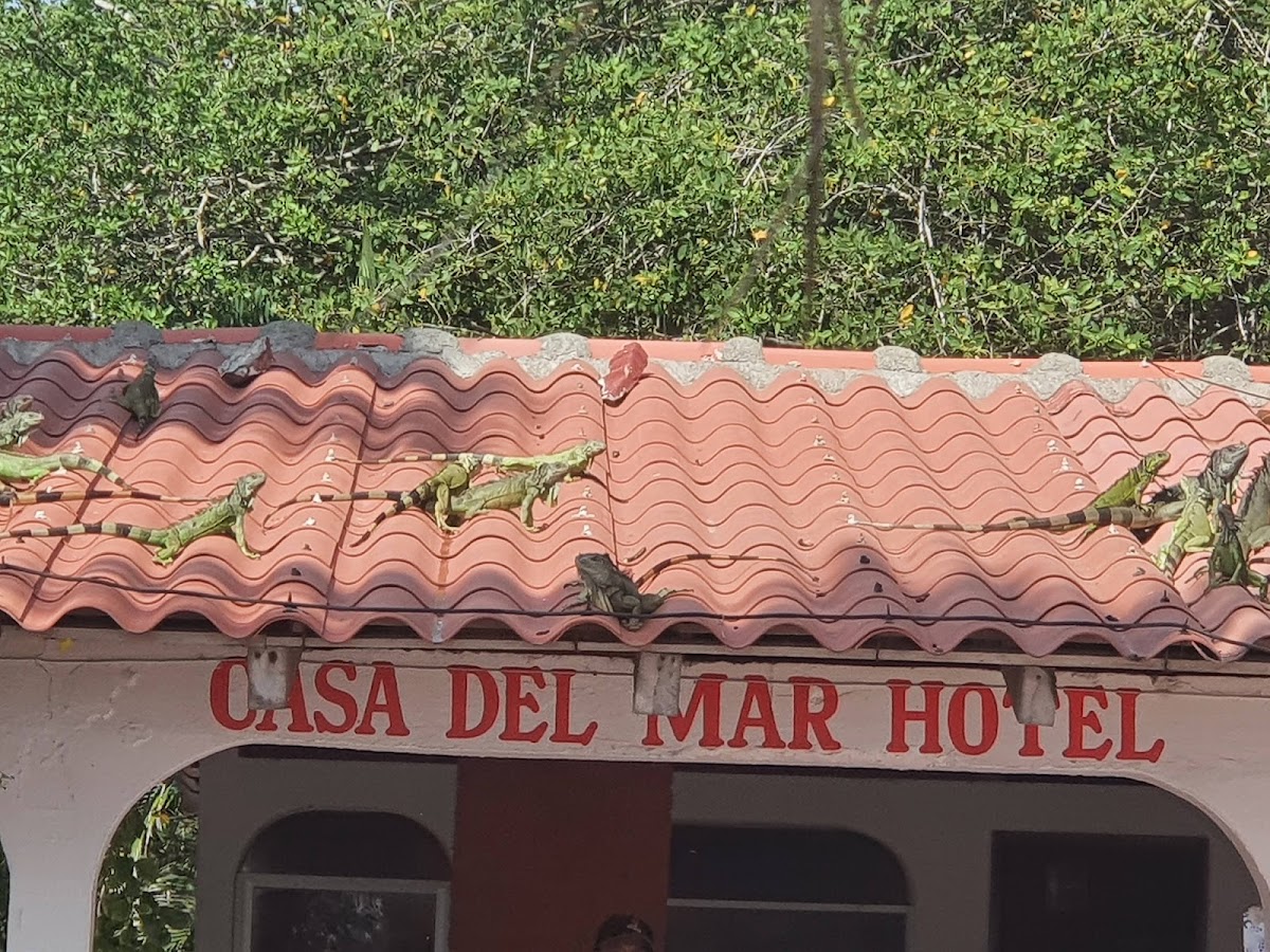 Hotel Casa del Mar gallery 4