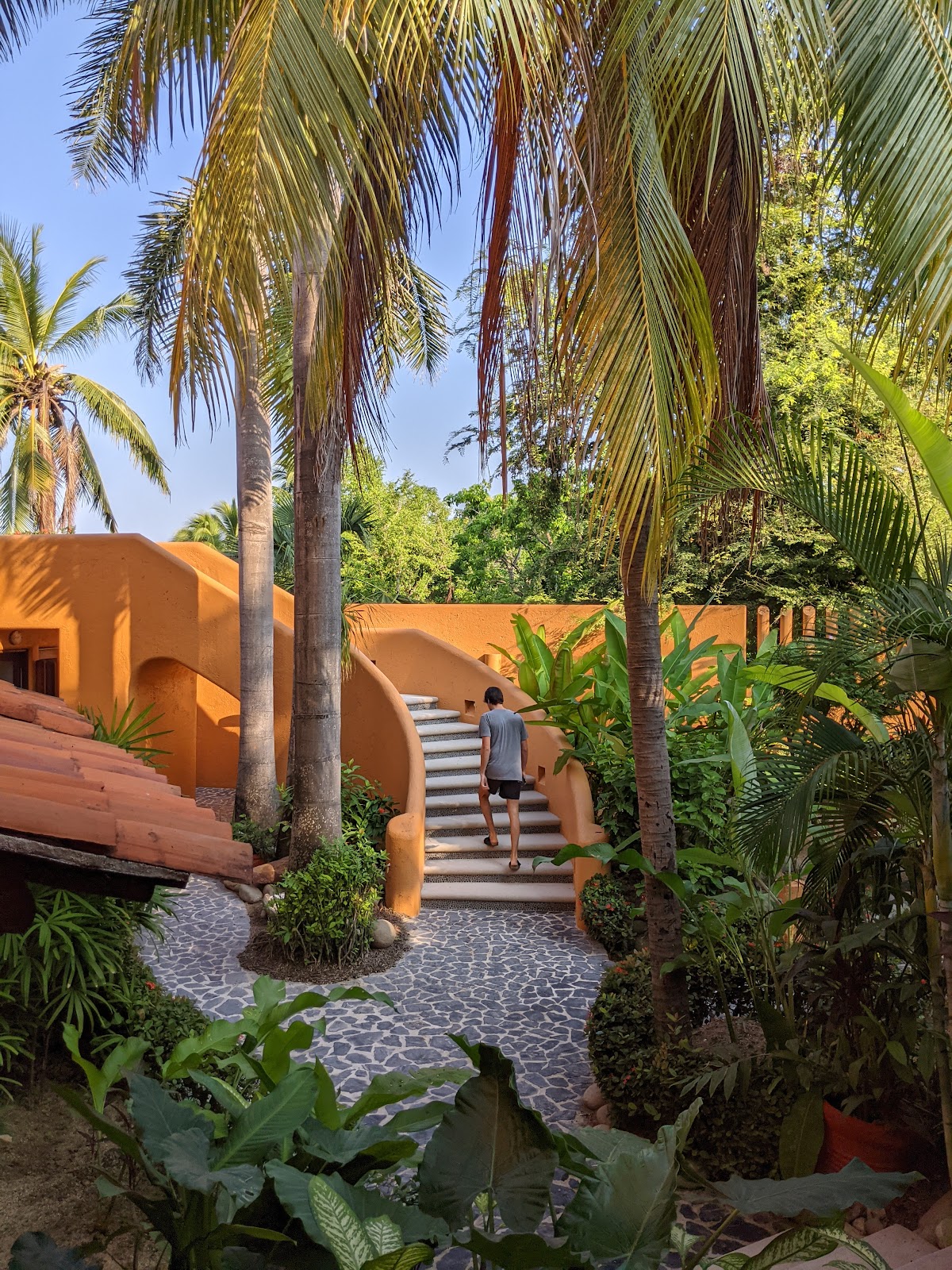 Hotel Casa Don Francisco gallery 5