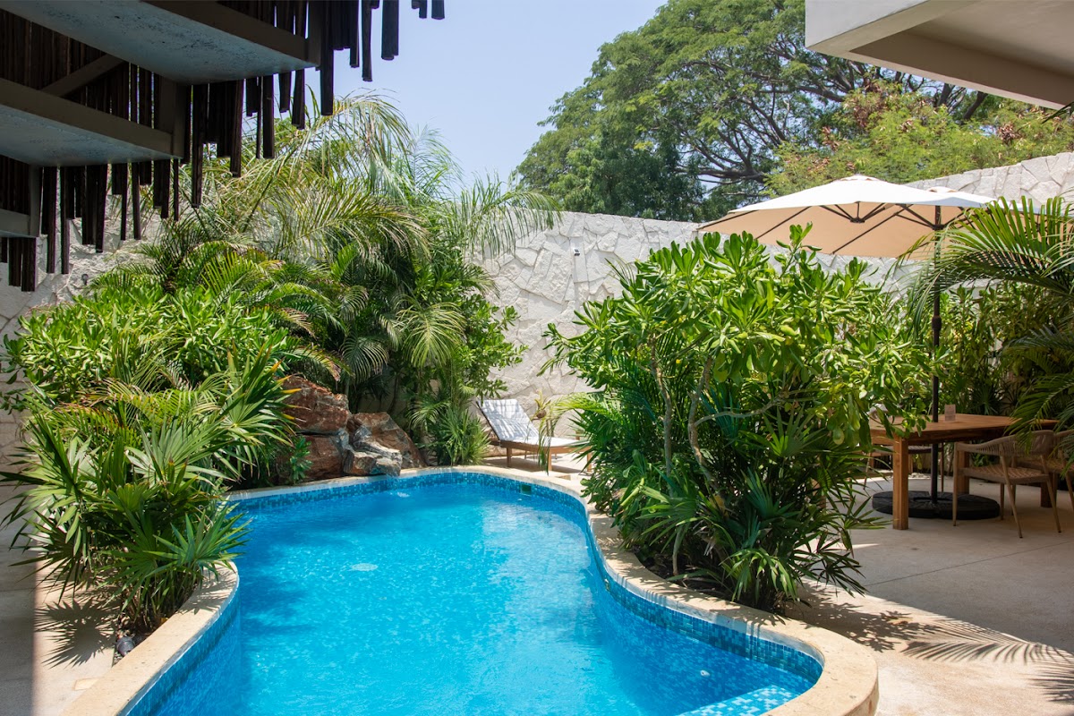 Hotel Casa Manglar gallery 3