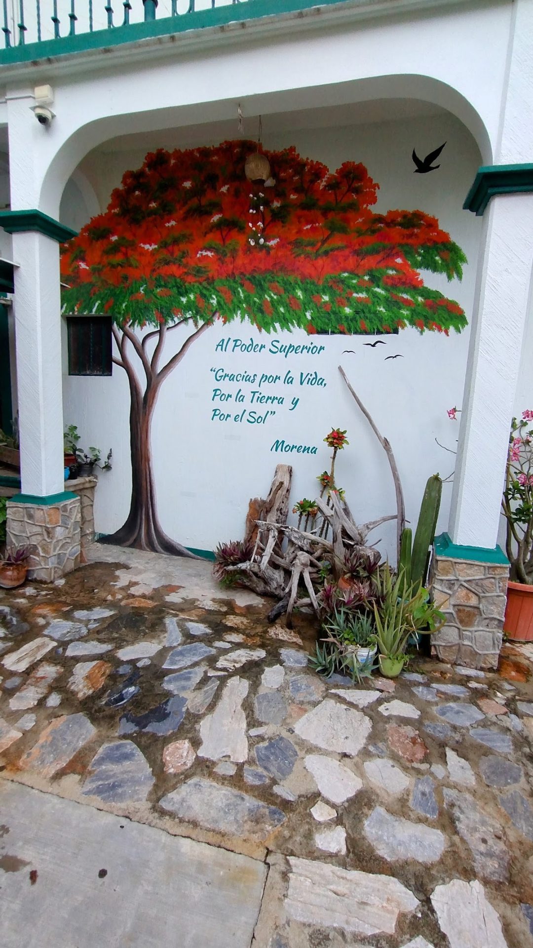 Hotel Casquito gallery 3