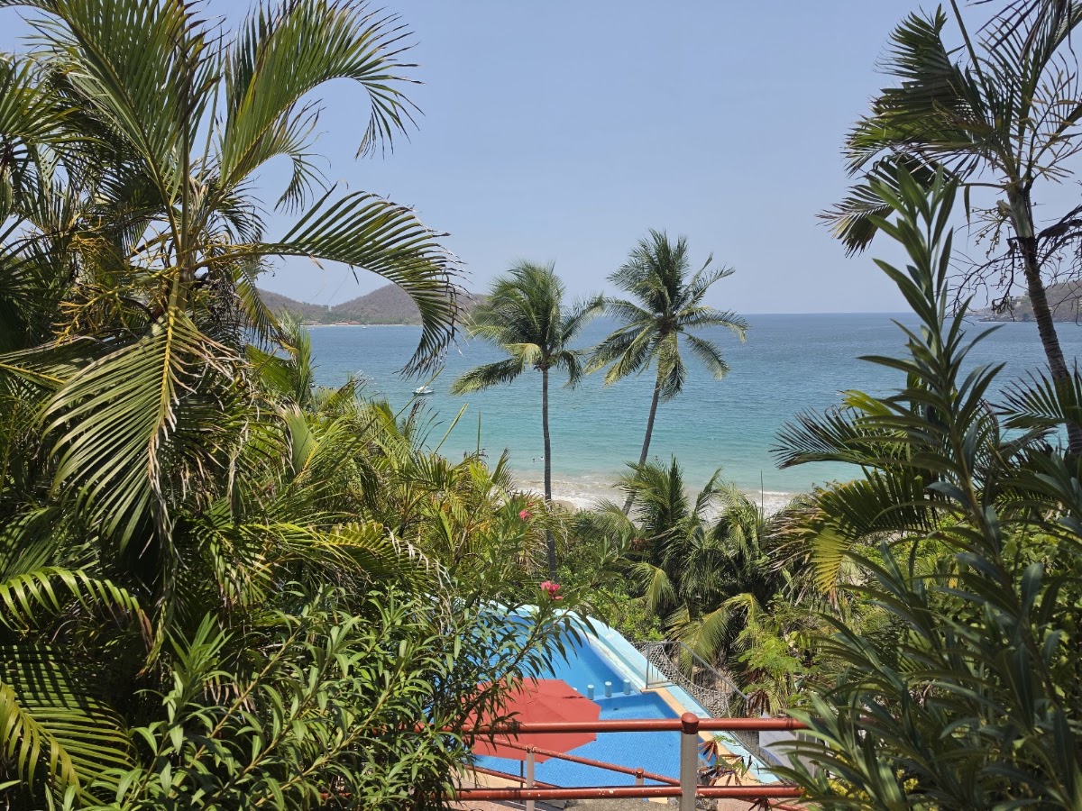 Hotel Catalina Beach Resort gallery 4