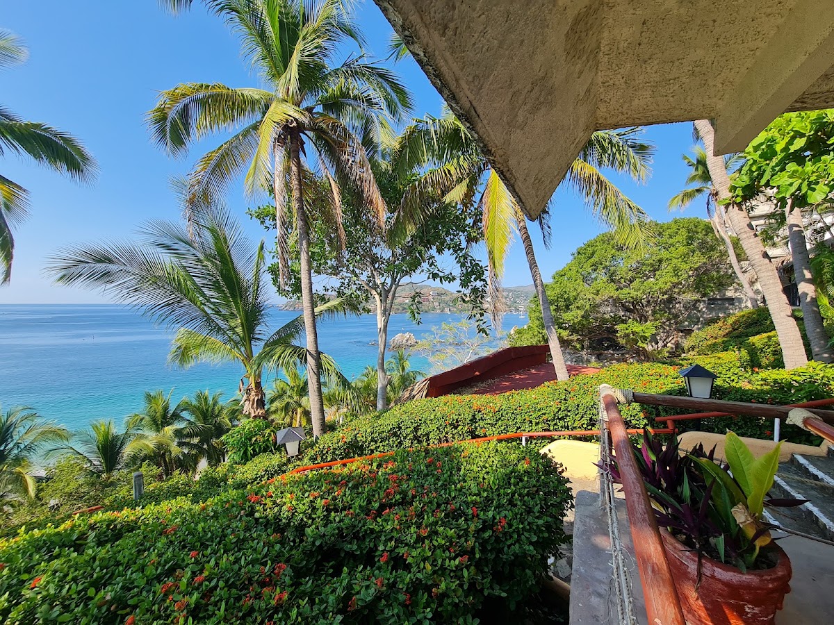 Hotel Catalina Beach Resort gallery 6