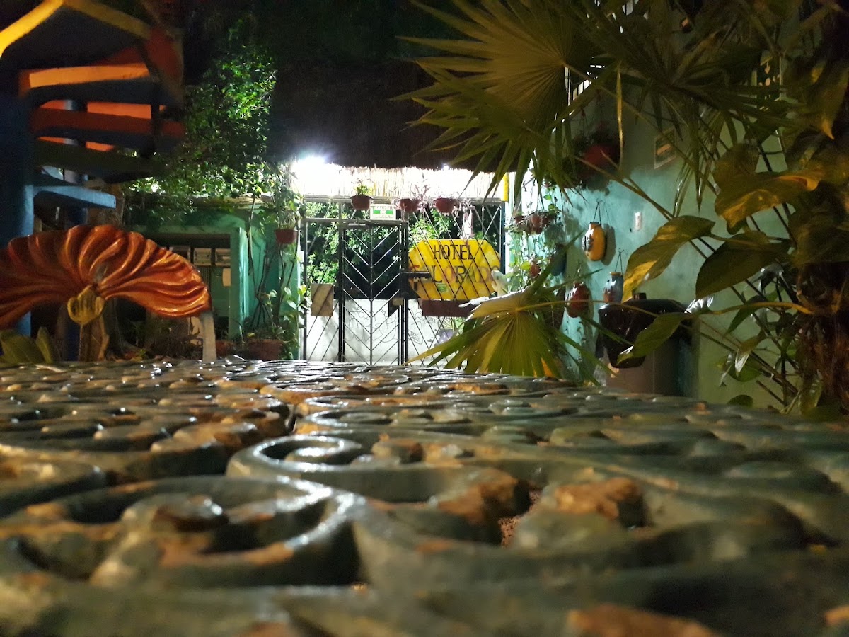 Hotel Colorado Playa Del Carmen gallery 10