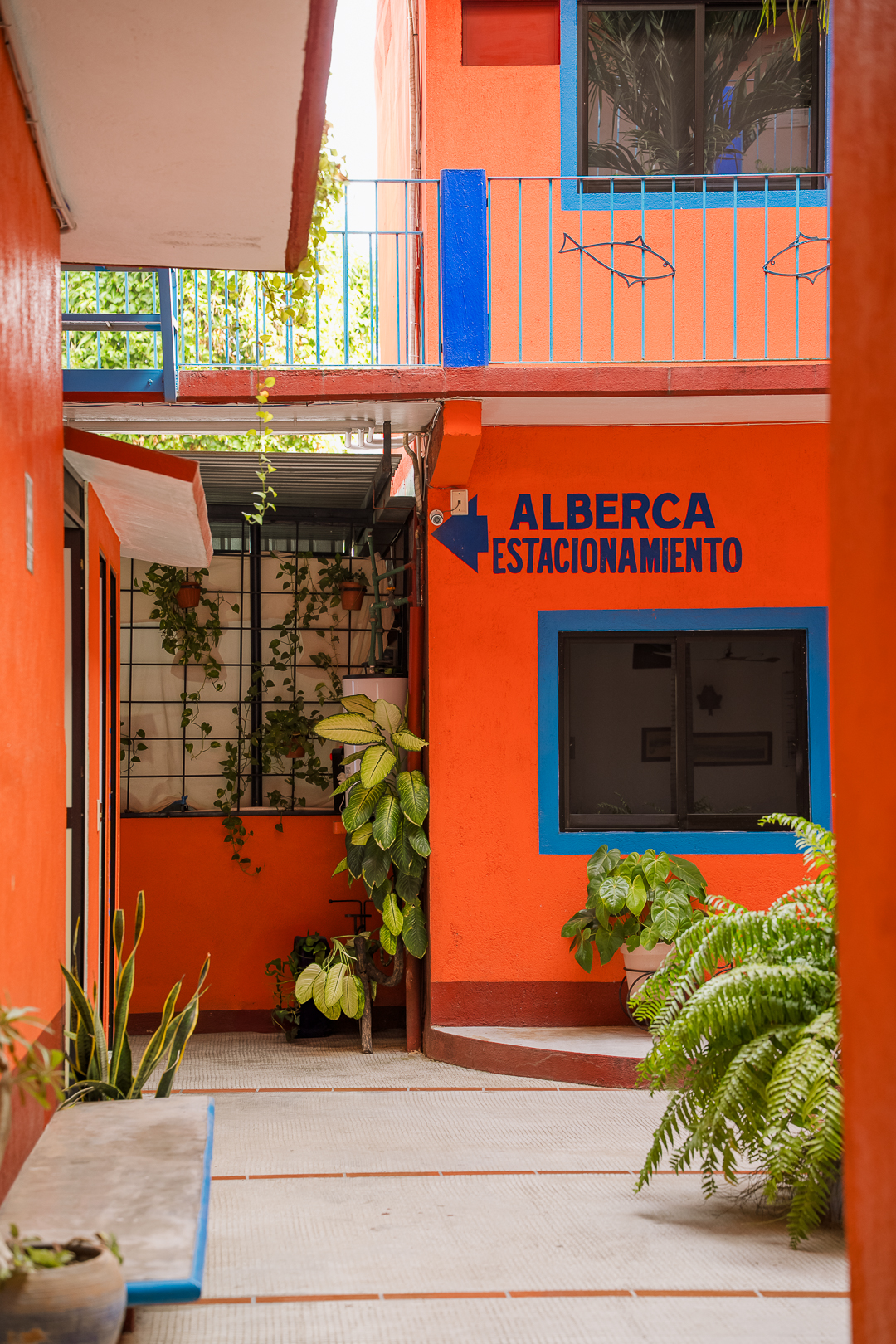 Hotel Costamar gallery 7