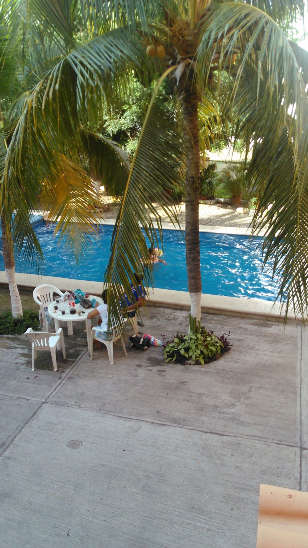 Hotel Fiesta Paraiso gallery 10