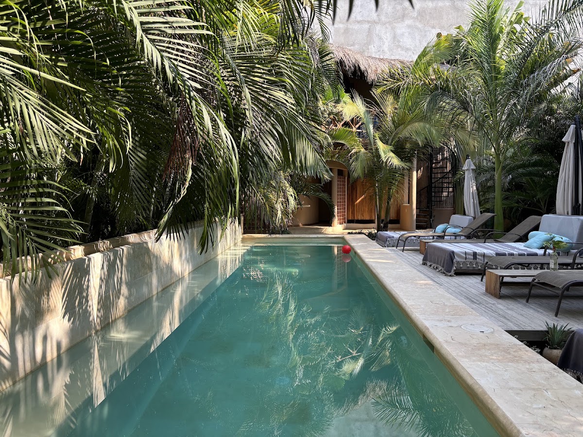 Hotel Gallo de Mar gallery 3