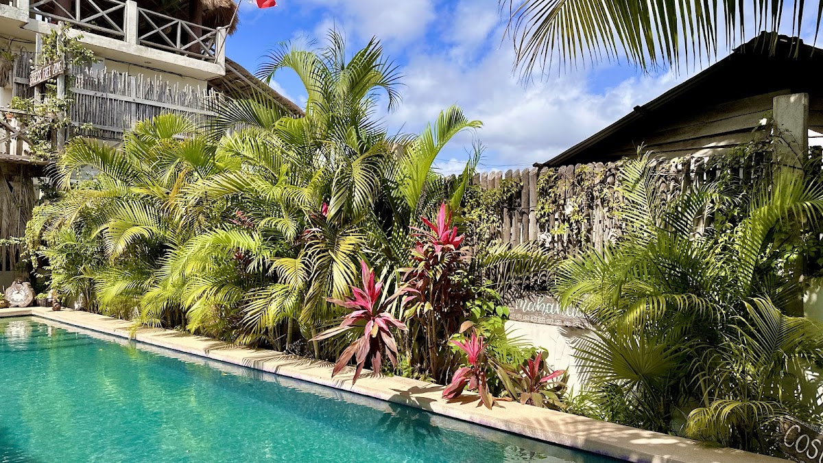 HOTEL JAIBA MAHAHUAL gallery 1