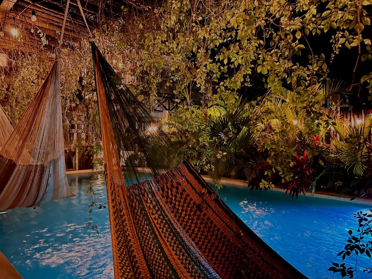 HOTEL JAIBA MAHAHUAL gallery 6