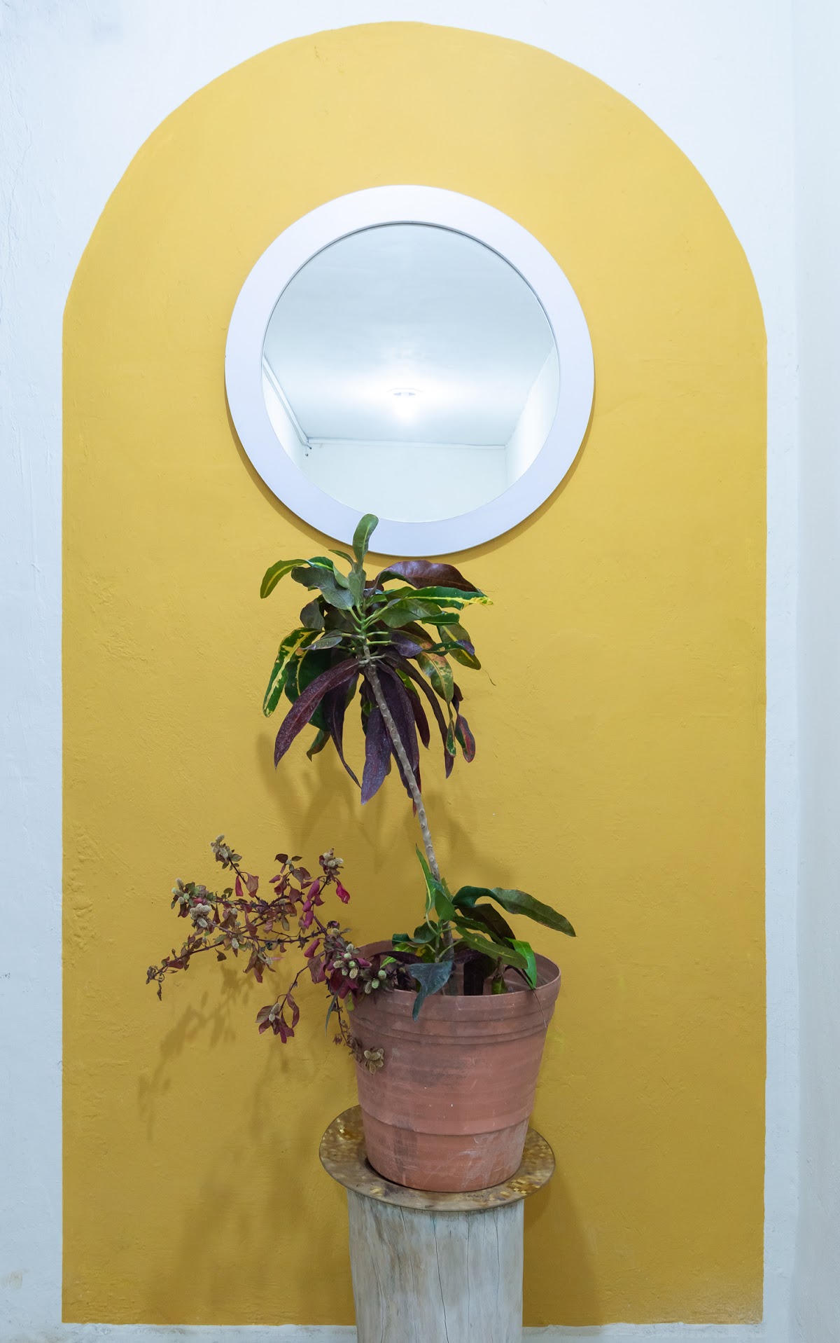 Hotel Jardín Mérida gallery 9