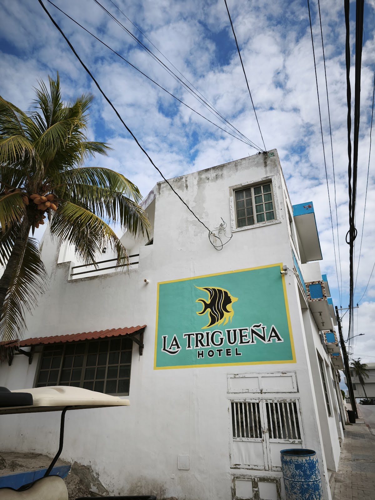 Hotel La Trigueña gallery 10
