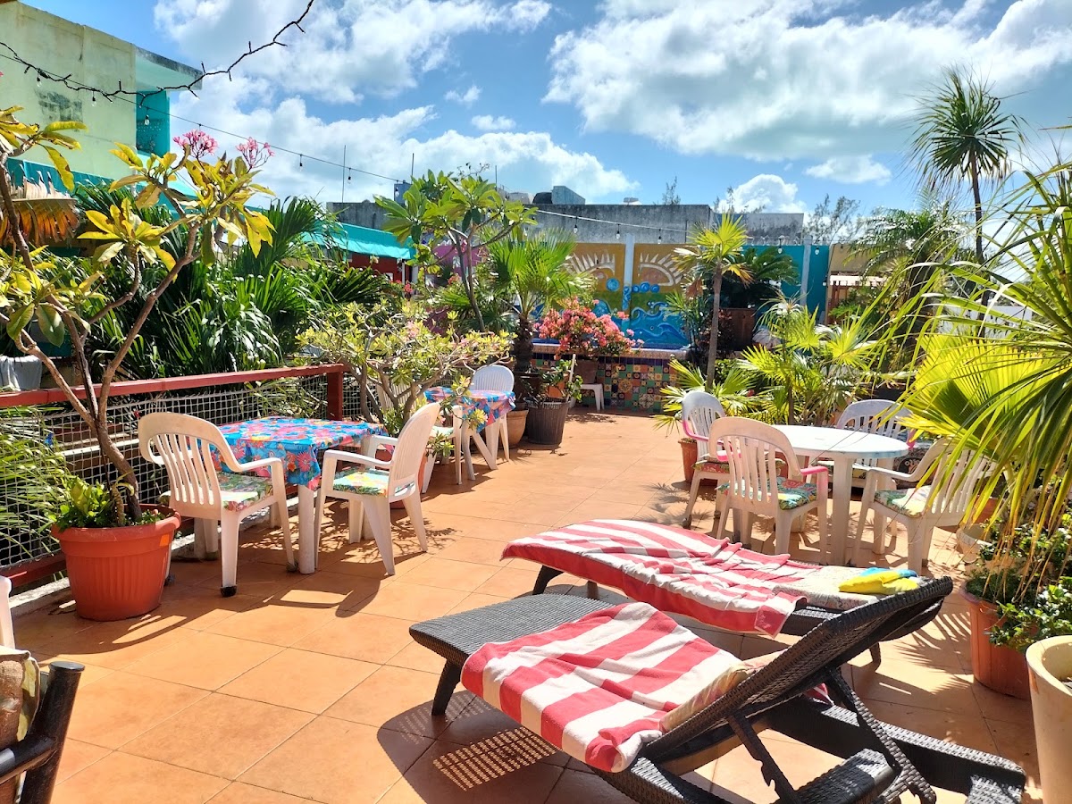 Hotel Las Palmas gallery 4
