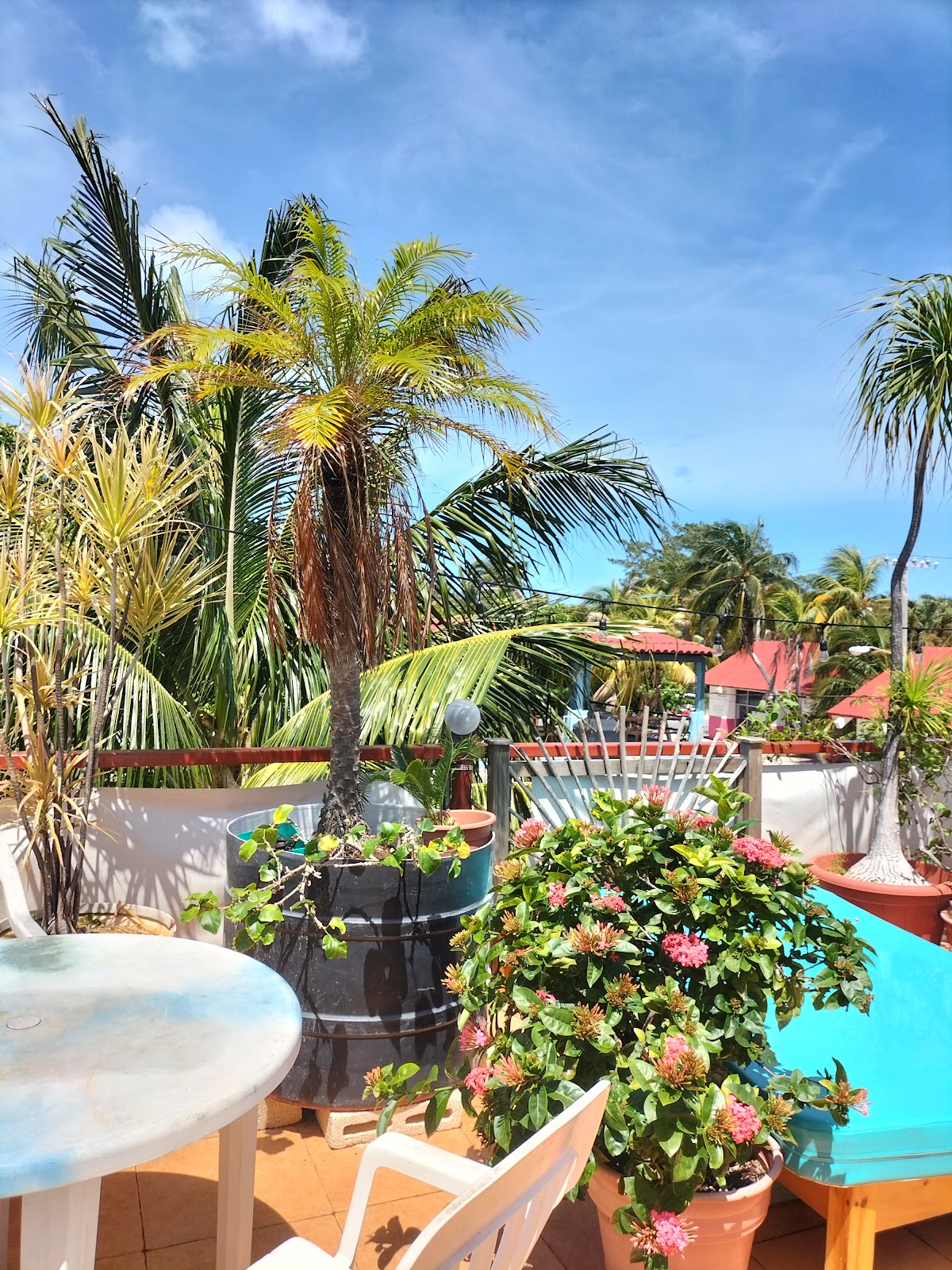 Hotel Las Palmas gallery 5